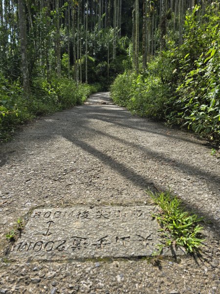 20260516 小百岳-南投後尖山3056218