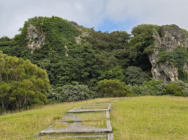 [百山百鳥尋旅-02/15] 2025_0809 社頂自然公園步道2857039