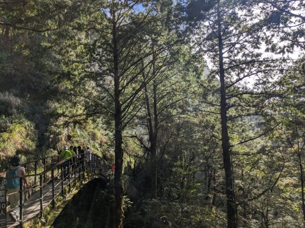 見晴懷古步道3137140