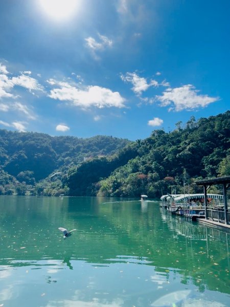 生態環境豐富的仁山植物園 感受鑑湖秋月-梅花湖的魅力2953854