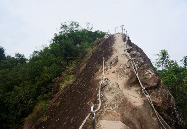 五寮尖登山步道1383171