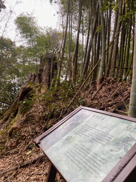 1120329奮瑞古道2643529