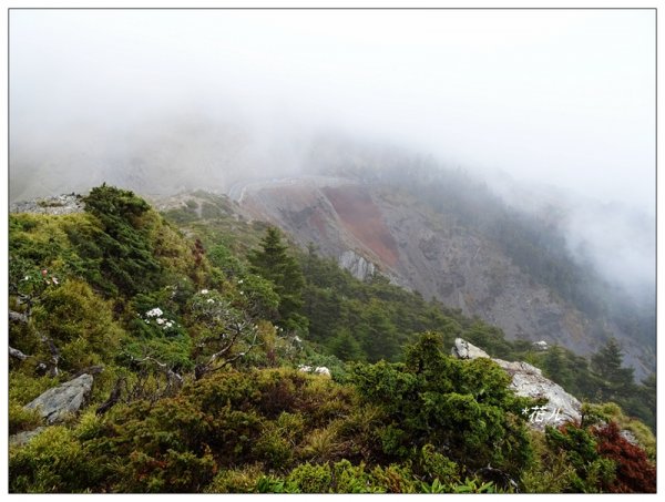 合歡山/石門山步道686139