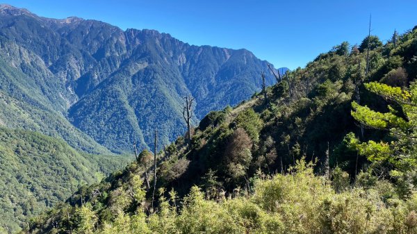 鹿林山步道1508229