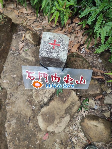 微笑山線：【天上山系】望月亭桐花段2855487