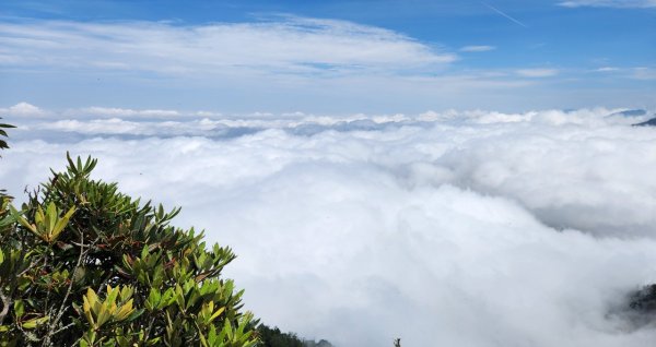 【中級山縱走】最美中級山，鳶嘴西稜縱走（鳶嘴山，醜崠山，長壽山）2741420