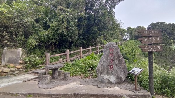 2026樟之細路 | 第一大段 | 三坑~關西 | RSA01~113041135