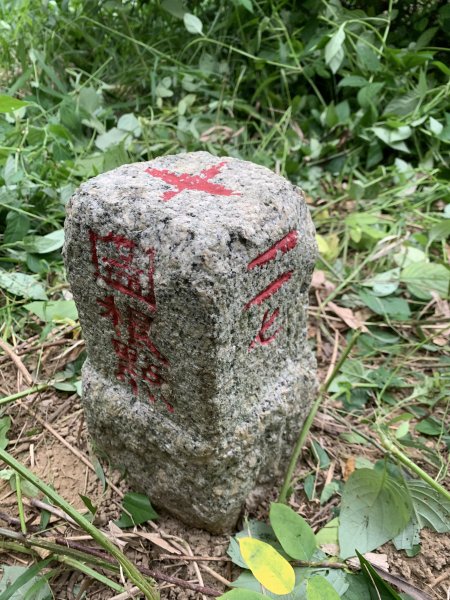 20250906台南蚵殼坑山-九層嶺-三十六崙山-洋子寮山2881499