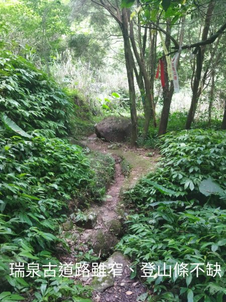 富士坪古道 - 林市古道 - 瑞泉古道O行訪大尖茶行遺址1748631