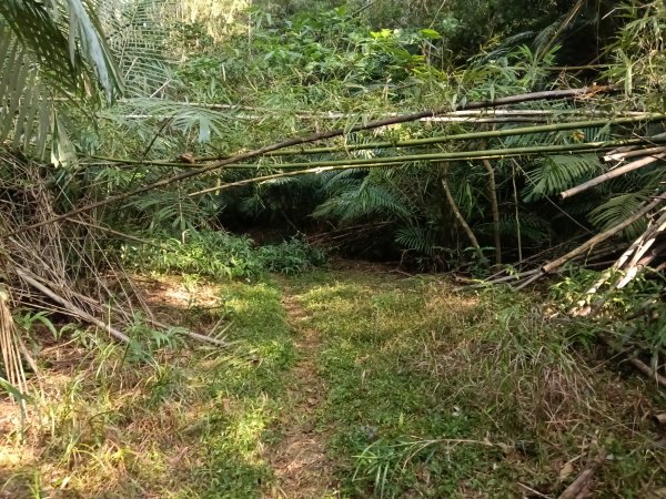 貢寮區新厝山+澳底尖(火炎山)+美艷山+金沙灣2989669