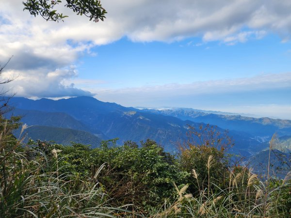 20250105鵝公髻山雲霧步道2726335