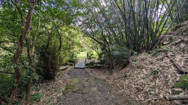 114.11.09草嶺古道芒花季之旅2932940