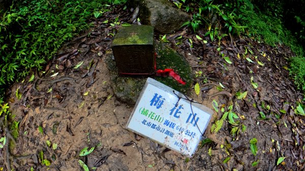大縱走第4段3053228