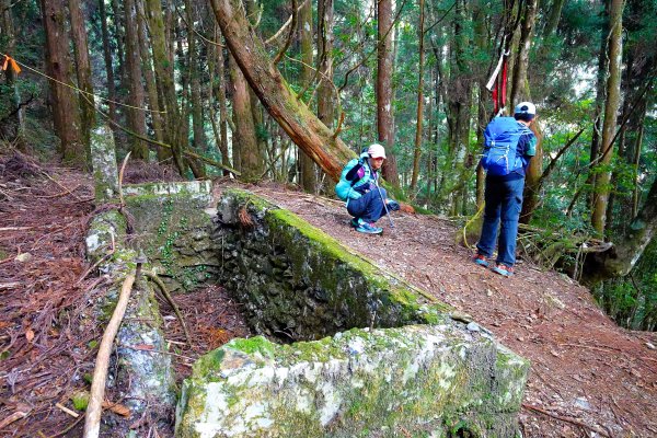 樂山舊鐵道順撿鹿坑山1320443