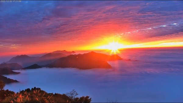 阿里山雲瀑&雲海/富士山直播即時視訊1975841