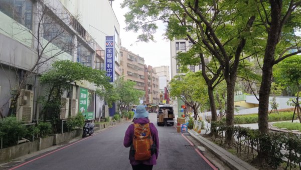 (姨婆趴趴走)第五十集:新北樹林大同山、青龍嶺、大棟山諸峰連走2751514