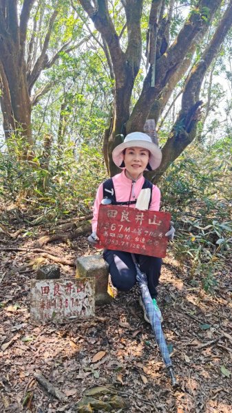 田良井山六連峰(屏東三地門) 探勘初體驗2025年3月9日2731540