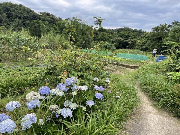 威惠廟至灣潭古道登山口(崩山坑線)2528436