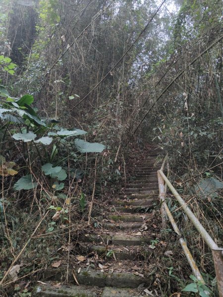 2023.12.24 大湖尖山2838736