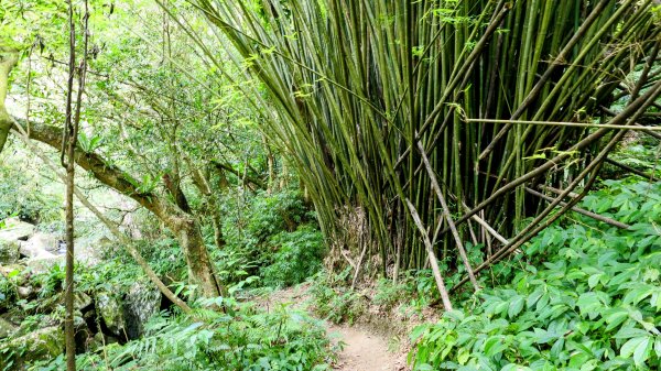 番王厝,番婆厝,王子厝,公主厝2827599