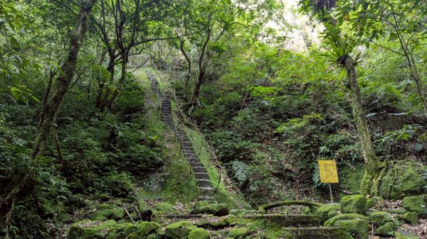 孝子山步道 (慈母峰+普陀山)