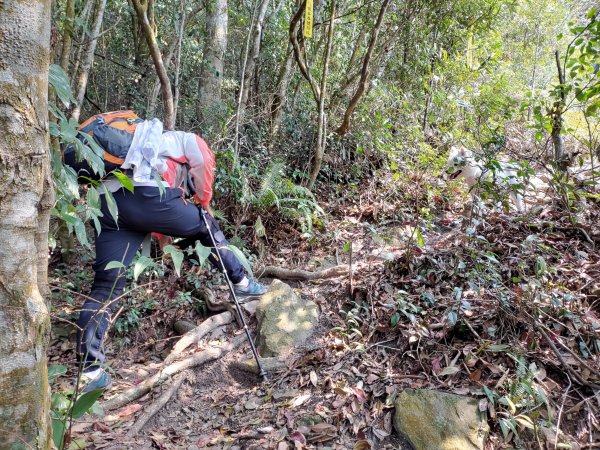 關刀山-關刀山西峰-西關刀山北峰 2021.4.31344318