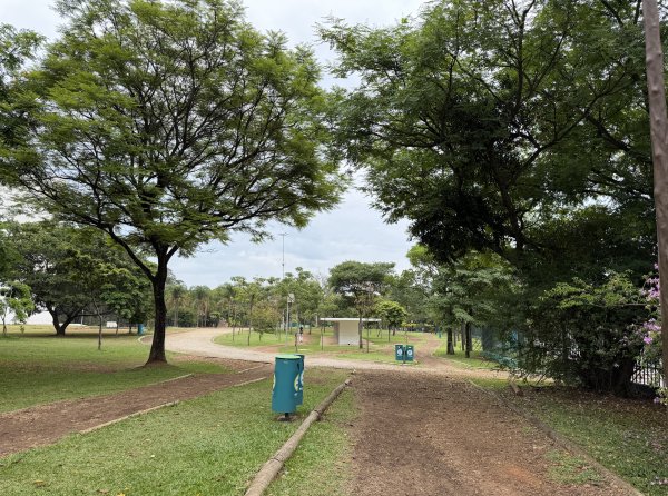 [紐約馬之行-67] 2025_1116 伊比拉布埃拉公園-上2955032