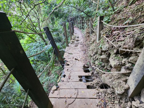 20240721泰安登山步道登七塊山2599950