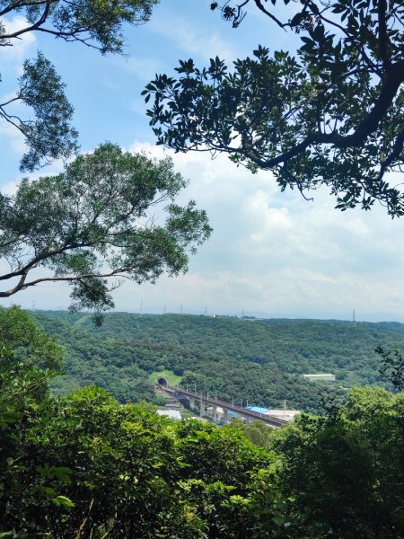 夏日甲蟲祭典（羊稠森林步道，龜山福源山-山佳車站）2826598