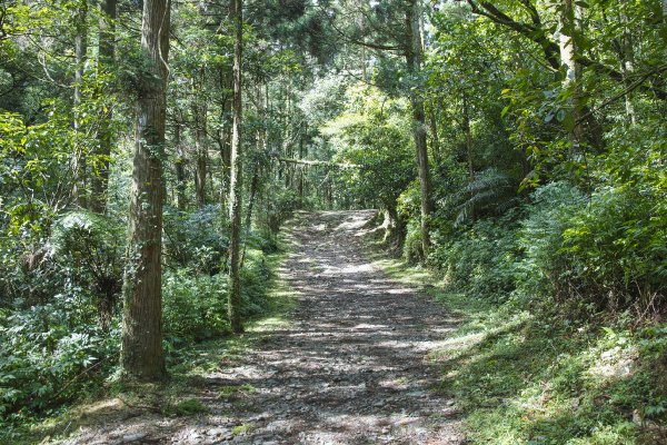 初遇源遠流長的淡蘭古道—坪溪段831634