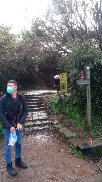 大屯山主峰步道1938096