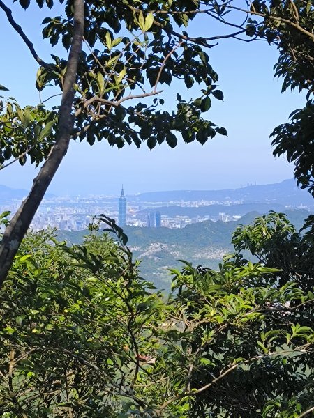 20251004微笑山線：【二格山系】筆架連峰段2904517