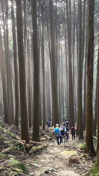 苗栗加里山1491243