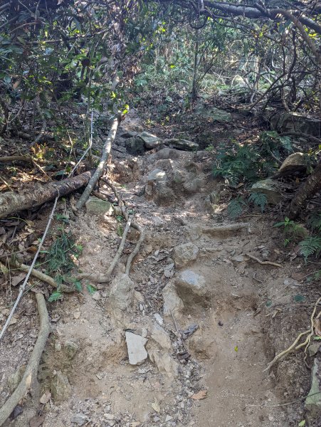 谷關七雄：有點硬陡的波津加山（捎來吊橋進、谷關吊橋出）1861401