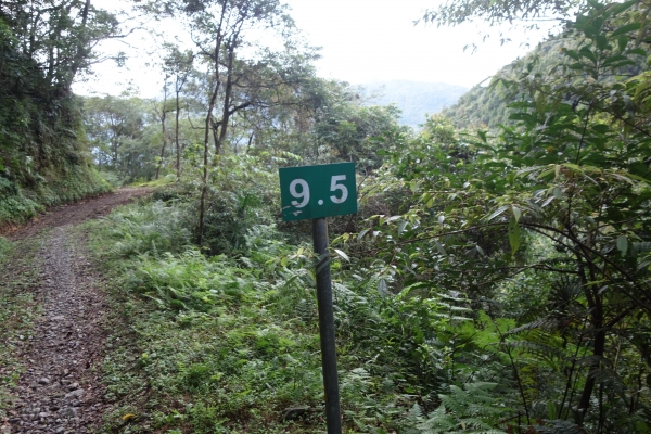 大刀山>內洞林道986