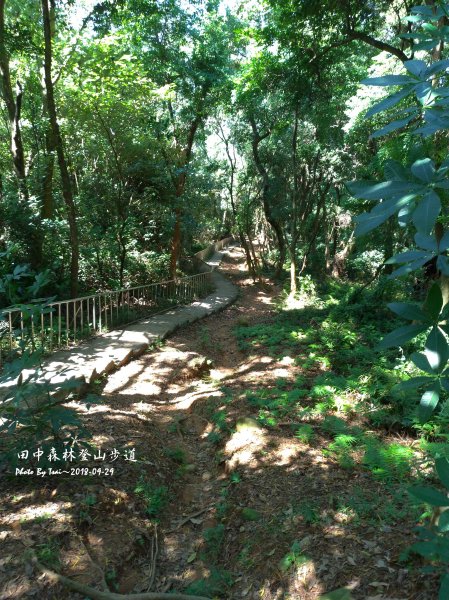 田中森林公園登山步道20180929455563