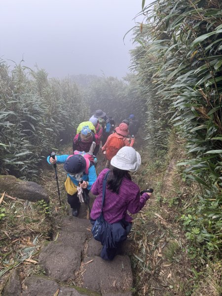 七星山 冷水坑上小油坑下環七星山人車分道O繞 202511082934898