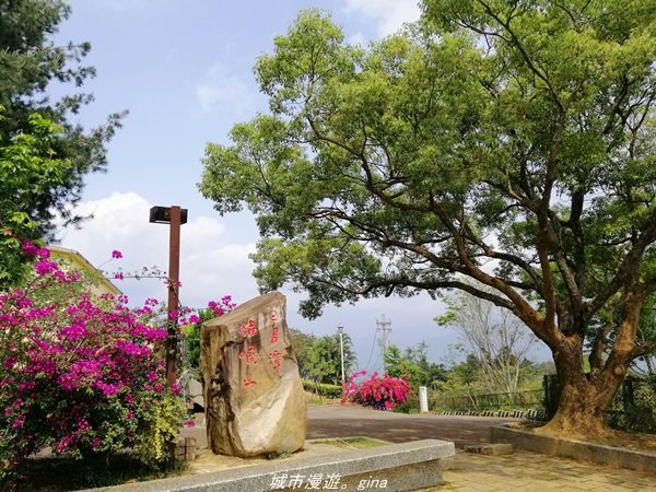 【南投。魚池】親民的賞景步道。 小百岳集起來。 編號49小百岳~貓囒山