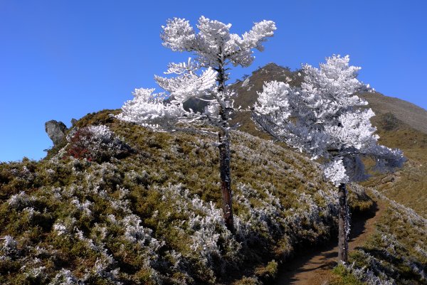 風雨雪中嘉明湖初登場1182256