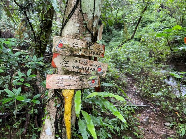 三角崙山五路會師1902897