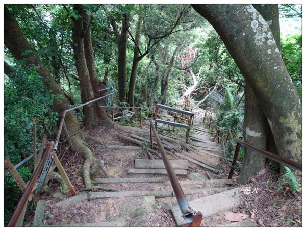 大坑/觀音山(小百岳)626918