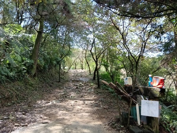 姜子寮山步道2734821