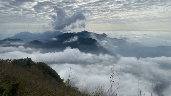 20250119二延平步道2716348