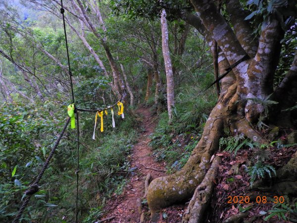 苗栗 卓蘭 大克山1083275