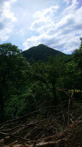 淡蘭古道石空聚落舊址、太和山O走1434072