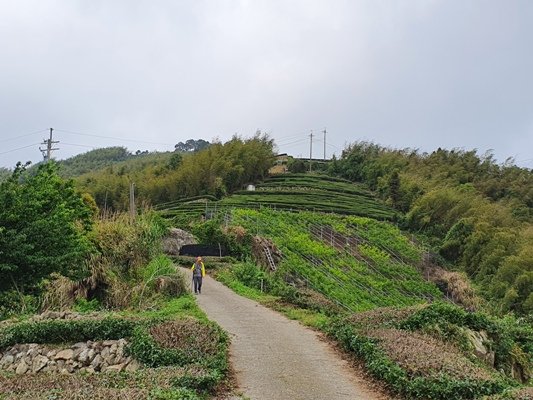 1090405後棟山連走大二尖山908327