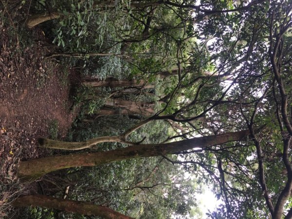 五酒桶山、南崁山2693346