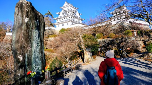 郡上八幡城的白帆2982600