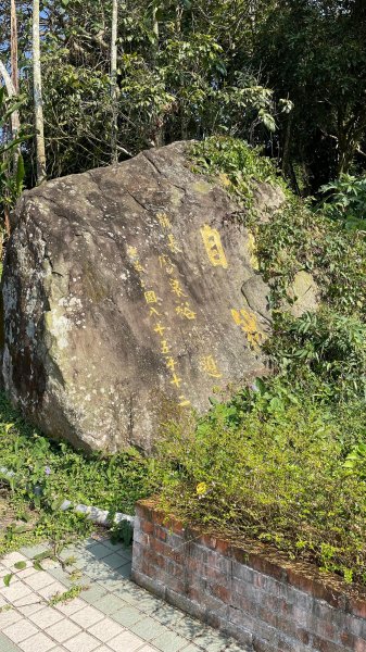 220116-雲嘉大尖山、二尖山、山豬湖-小O繞1653887