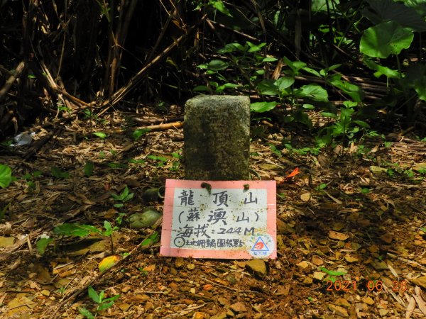 宜蘭 蘇澳 七星嶺步道1419699